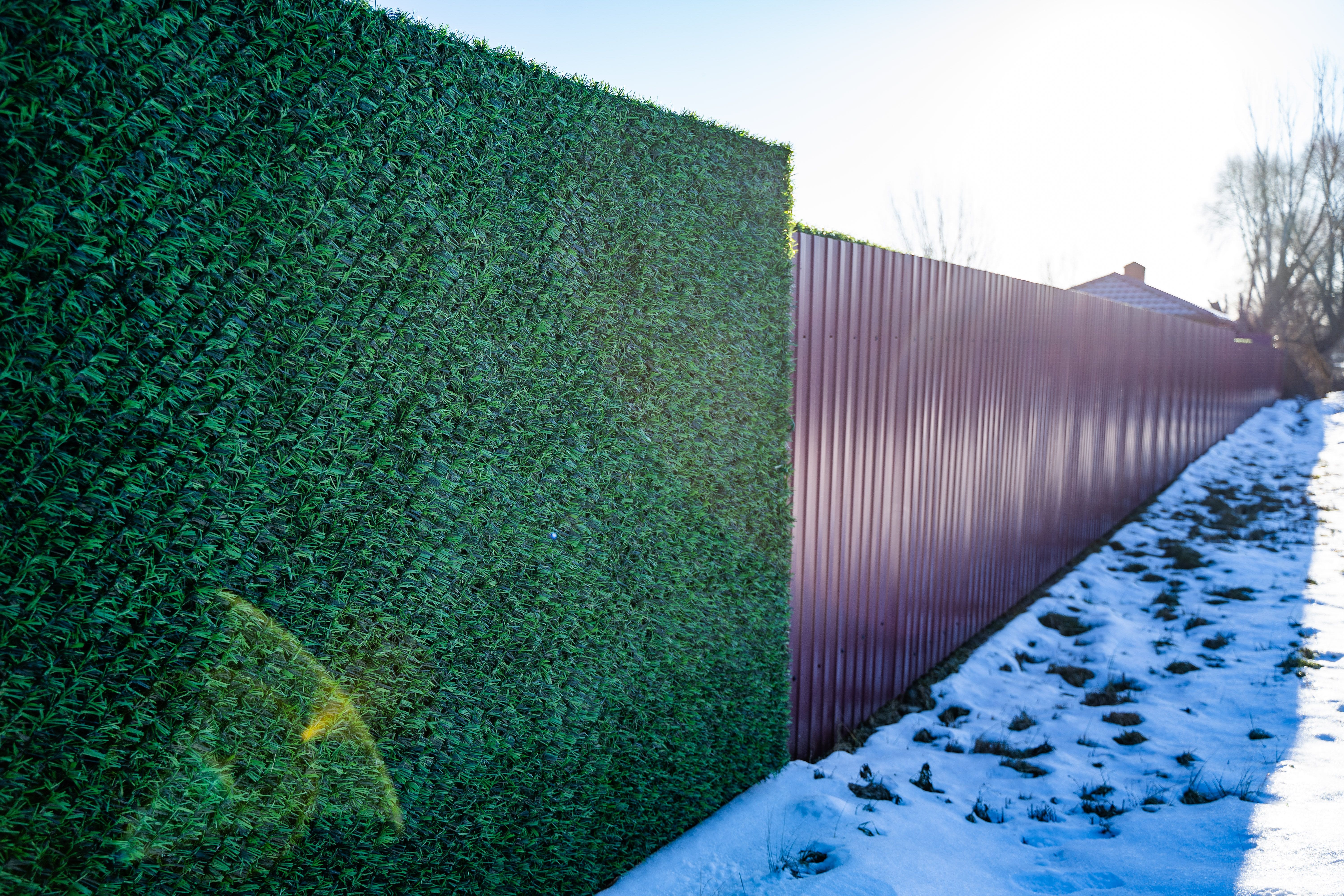Вечнозеленый забор Grass Fence рулон 2м фото 11 в Вологде